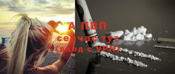 прущие грибы Кинешма
