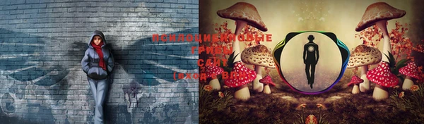марки lsd Киреевск