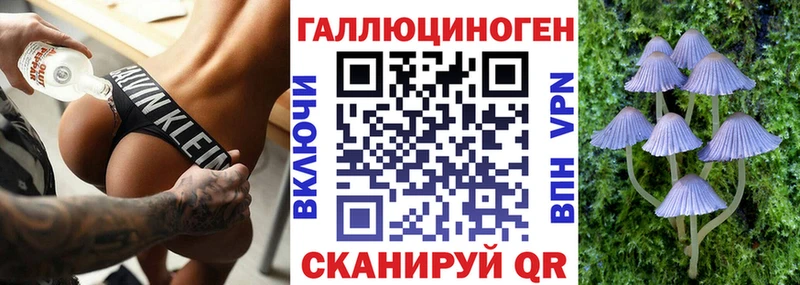 Купить закладки  Зверево  Псилоцибиновые грибы MAGIC MUSHROOMS 